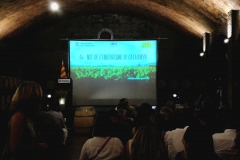 4 Nit de l'Enoturisme de Catalunya - Vinya els Vilars - 05
