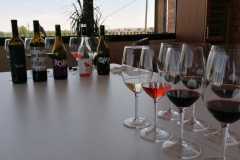 Tast-Premium-Vinya-els-Vilars-DO-Costers-del-Segre-8-