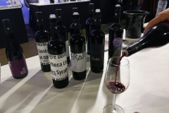 Costers del Segre Mostra de vins Barcelona Vinya els Vilars 12