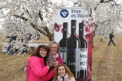 Vinya els Vilars Vermouth entre flors Arbeca - 15 de 25