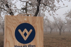 Vinya els Vilars Vermouth entre flors Arbeca - 2 de 25